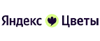 Яндекс Цветы