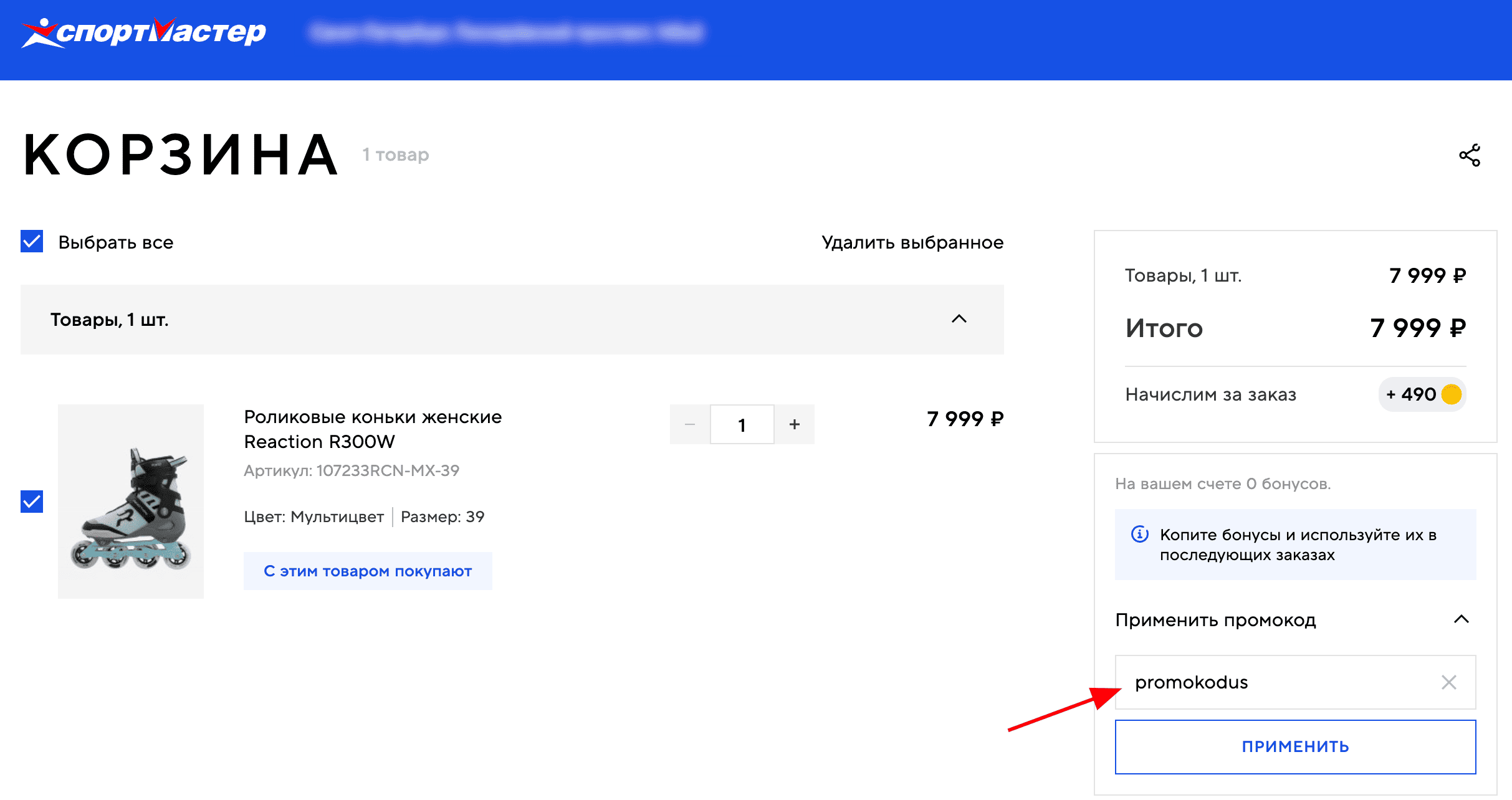 ввод промокода Спортмастер - скидка 10% на спортивные товары