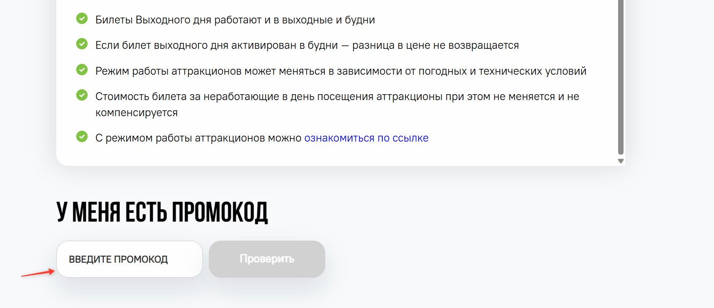 поле для промокода Парк Сказка