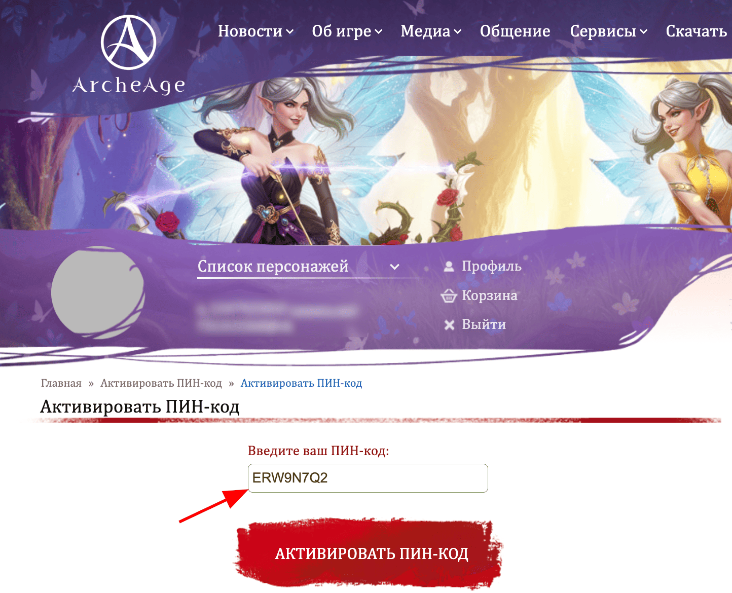 ввод промокода ArcheAge - игровые предметы в подарок
