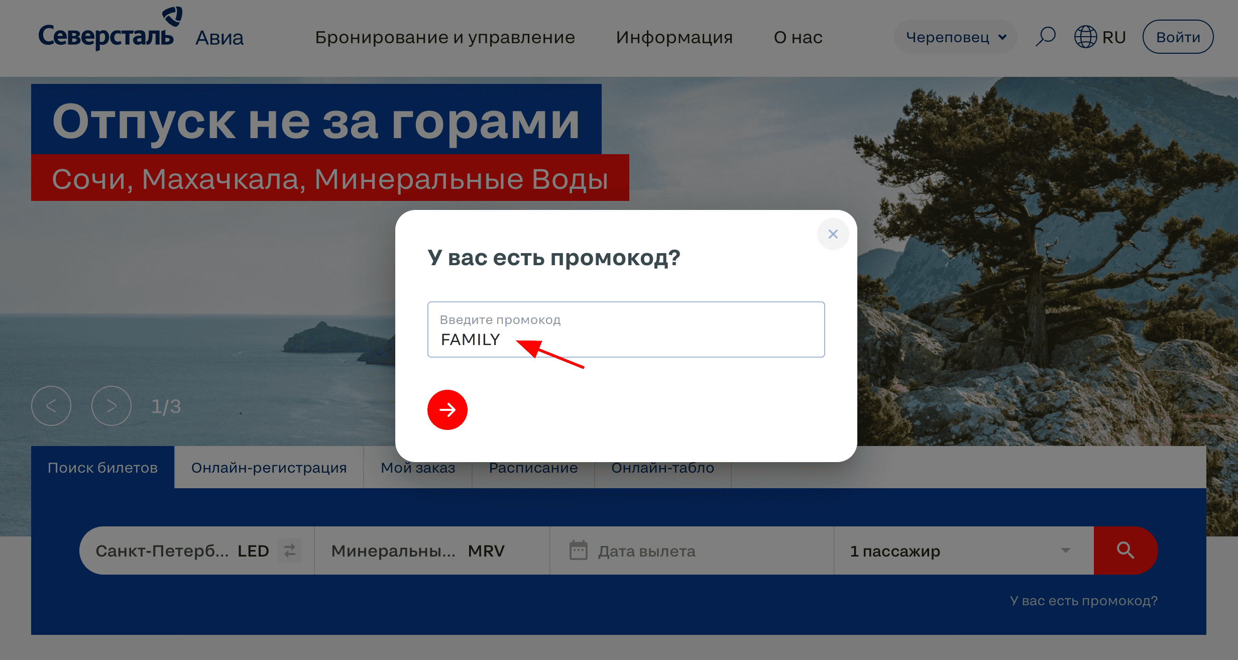 ввод промокода Северсталь - скидка 16% на перелеты для семей