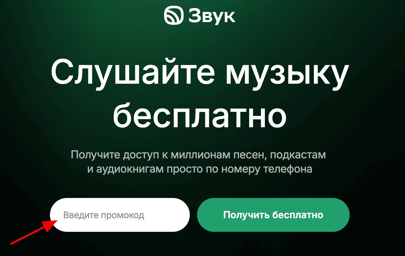 поле для ввода промокода Звук