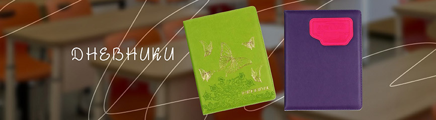 Выбор дневника