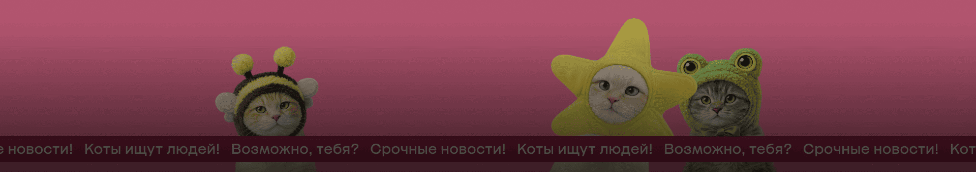 лучшие акции и промокоды апрель 2026